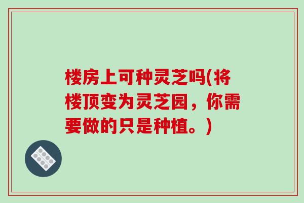 楼房上可种灵芝吗(将楼顶变为灵芝园，你需要做的只是种植。)-第1张图片-破壁灵芝孢子粉研究指南