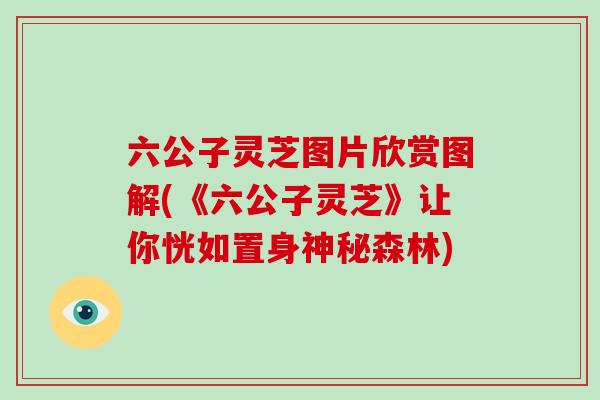 六公子灵芝图片欣赏图解(《六公子灵芝》让你恍如置身神秘森林)-第1张图片-破壁灵芝孢子粉研究指南 六公子灵芝图片欣赏图解(《六公子灵芝》让你恍如置身神秘森林)-第1张图片-破壁灵芝孢子粉研究指南