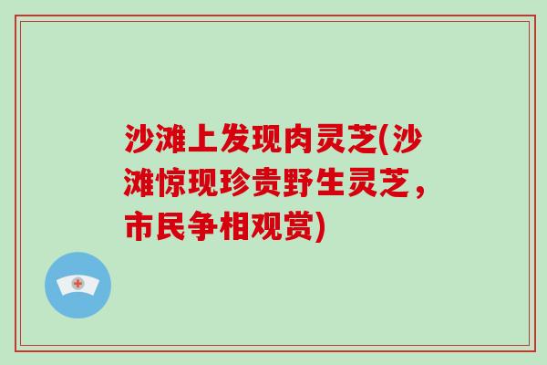沙滩上发现肉灵芝(沙滩惊现珍贵野生灵芝,市民争相观赏)-第1张图片-破壁灵芝孢子粉研究指南 沙滩上发现肉灵芝(沙滩惊现珍贵野生灵芝,市民争相观赏)-第1张图片-破壁灵芝孢子粉研究指南