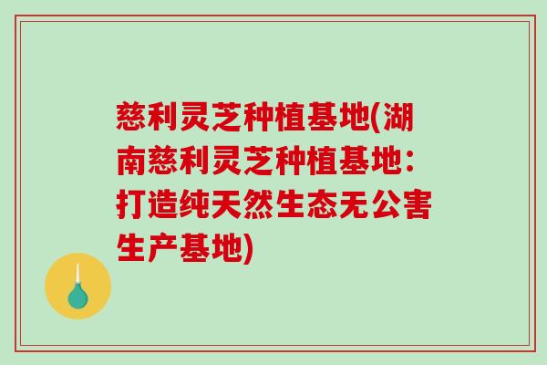 慈利灵芝种植基地(湖南慈利灵芝种植基地：打造纯天然生态无公害生产基地)-第1张图片-破壁灵芝孢子粉研究指南