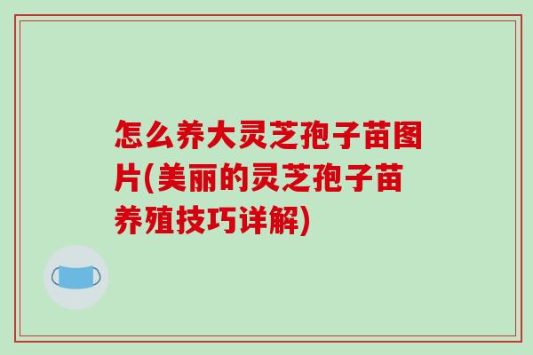 怎么养大灵芝孢子苗图片(美丽的灵芝孢子苗养殖技巧详解)-第1张图片-破壁灵芝孢子粉研究指南
