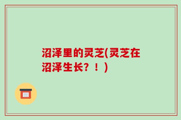 沼泽里的灵芝(灵芝在沼泽生长?!)-第1张图片-破壁灵芝孢子粉研究指南 沼泽里的灵芝(灵芝在沼泽生长?!)-第1张图片-破壁灵芝孢子粉研究指南