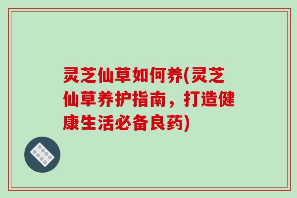 灵芝仙草如何养(灵芝仙草养护指南,打造健康生活必备良药)-第1张图片-破壁灵芝孢子粉研究指南 灵芝仙草如何养(灵芝仙草养护指南,打造健康生活必备良药)-第1张图片-破壁灵芝孢子粉研究指南