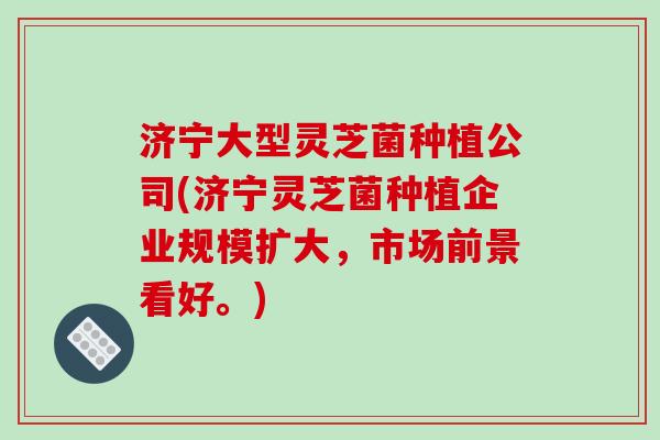 济宁大型灵芝菌种植公司(济宁灵芝菌种植企业规模扩大,市场前景看好。)-第1张图片-破壁灵芝孢子粉研究指南 济宁大型灵芝菌种植公司(济宁灵芝菌种植企业规模扩大,市场前景看好。)-第1张图片-破壁灵芝孢子粉研究指南
