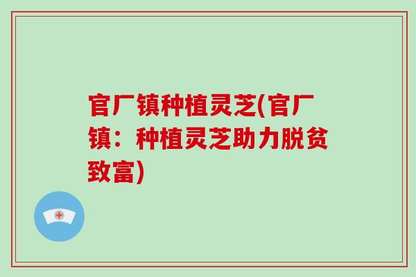 官厂镇种植灵芝(官厂镇:种植灵芝助力脱贫致富)-第1张图片-破壁灵芝孢子粉研究指南 官厂镇种植灵芝(官厂镇:种植灵芝助力脱贫致富)-第1张图片-破壁灵芝孢子粉研究指南