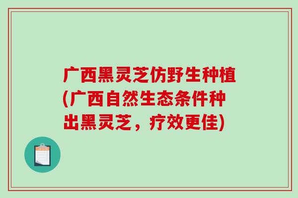 广西黑灵芝仿野生种植(广西自然生态条件种出黑灵芝,疗效更佳)-第1张图片-破壁灵芝孢子粉研究指南 广西黑灵芝仿野生种植(广西自然生态条件种出黑灵芝,疗效更佳)-第1张图片-破壁灵芝孢子粉研究指南