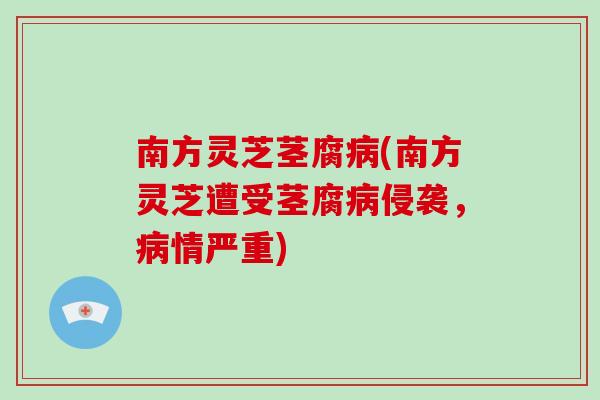 南方灵芝茎腐病(南方灵芝遭受茎腐病侵袭,病情严重)-第1张图片-破壁灵芝孢子粉研究指南 南方灵芝茎腐病(南方灵芝遭受茎腐病侵袭,病情严重)-第1张图片-破壁灵芝孢子粉研究指南