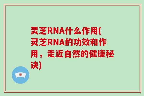 灵芝RNA什么作用(灵芝RNA的功效和作用,走近自然的健康秘诀)-第1张图片-破壁灵芝孢子粉研究指南 灵芝RNA什么作用(灵芝RNA的功效和作用,走近自然的健康秘诀)-第1张图片-破壁灵芝孢子粉研究指南