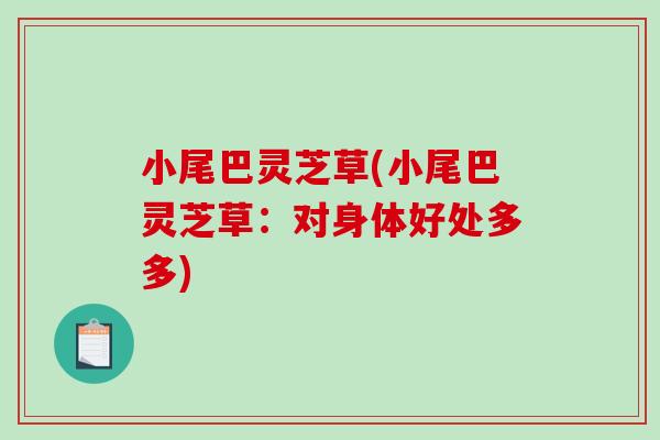 小尾巴灵芝草(小尾巴灵芝草:对身体好处多多)-第1张图片-破壁灵芝孢子粉研究指南 小尾巴灵芝草(小尾巴灵芝草:对身体好处多多)-第1张图片-破壁灵芝孢子粉研究指南
