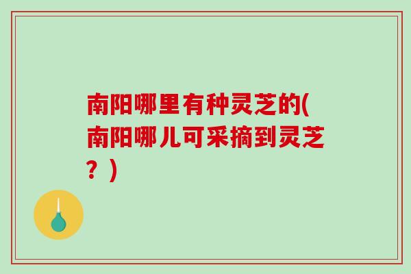 南阳哪里有种灵芝的(南阳哪儿可采摘到灵芝?)-第1张图片-破壁灵芝孢子粉研究指南 南阳哪里有种灵芝的(南阳哪儿可采摘到灵芝?)-第1张图片-破壁灵芝孢子粉研究指南