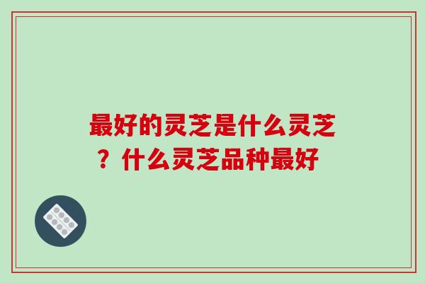 最好的灵芝是什么灵芝 ?什么灵芝品种最好-第1张图片-破壁灵芝孢子粉研究指南 最好的灵芝是什么灵芝 ?什么灵芝品种最好-第1张图片-破壁灵芝孢子粉研究指南