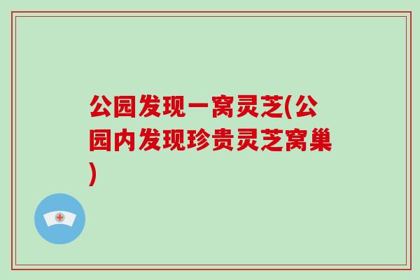 公园发现一窝灵芝(公园内发现珍贵灵芝窝巢)-第1张图片-破壁灵芝孢子粉研究指南 公园发现一窝灵芝(公园内发现珍贵灵芝窝巢)-第1张图片-破壁灵芝孢子粉研究指南