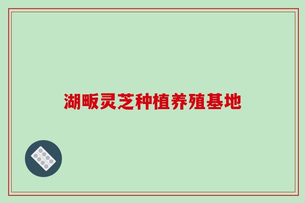 湖畈灵芝种植养殖基地-第1张图片-破壁灵芝孢子粉研究指南 湖畈灵芝种植养殖基地-第1张图片-破壁灵芝孢子粉研究指南