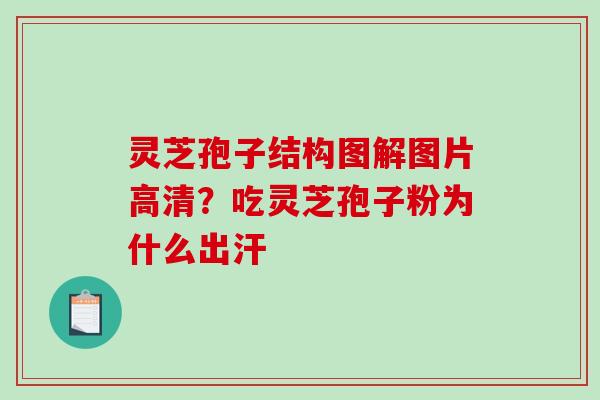 灵芝孢子结构图解图片高清?吃灵芝孢子粉为什么出汗-第1张图片-破壁灵芝孢子粉研究指南 灵芝孢子结构图解图片高清?吃灵芝孢子粉为什么出汗-第1张图片-破壁灵芝孢子粉研究指南