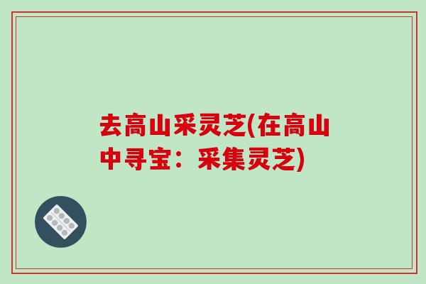 去高山采灵芝(在高山中寻宝：采集灵芝)-第1张图片-破壁灵芝孢子粉研究指南