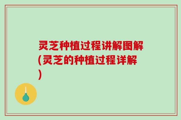灵芝种植过程讲解图解(灵芝的种植过程详解)-第1张图片-破壁灵芝孢子粉研究指南 灵芝种植过程讲解图解(灵芝的种植过程详解)-第1张图片-破壁灵芝孢子粉研究指南