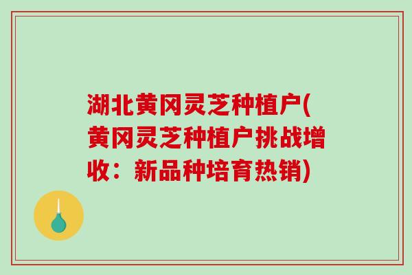 湖北黄冈灵芝种植户(黄冈灵芝种植户挑战增收:新品种培育热销)-第1张图片-破壁灵芝孢子粉研究指南 湖北黄冈灵芝种植户(黄冈灵芝种植户挑战增收:新品种培育热销)-第1张图片-破壁灵芝孢子粉研究指南