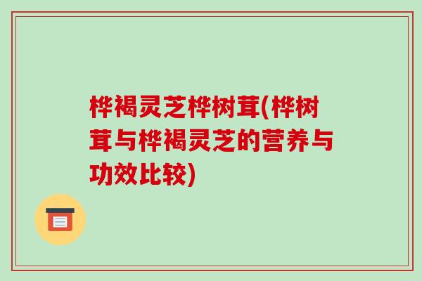 桦褐灵芝桦树茸(桦树茸与桦褐灵芝的营养与功效比较)-第1张图片-破壁灵芝孢子粉研究指南 桦褐灵芝桦树茸(桦树茸与桦褐灵芝的营养与功效比较)-第1张图片-破壁灵芝孢子粉研究指南