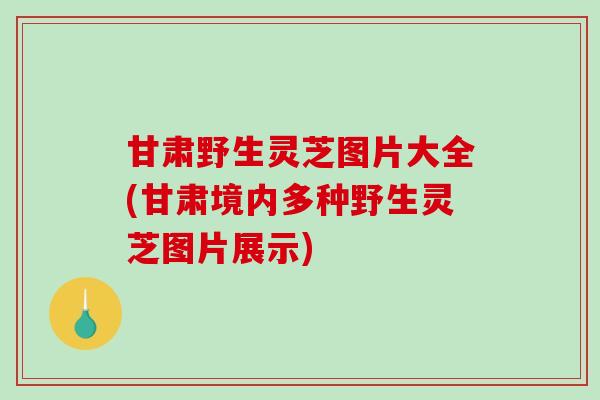 甘肃野生灵芝图片大全(甘肃境内多种野生灵芝图片展示)-第1张图片-破壁灵芝孢子粉研究指南