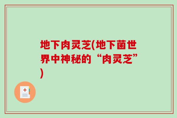 地下肉灵芝(地下菌世界中神秘的“肉灵芝”)-第1张图片-破壁灵芝孢子粉研究指南 地下肉灵芝(地下菌世界中神秘的“肉灵芝”)-第1张图片-破壁灵芝孢子粉研究指南