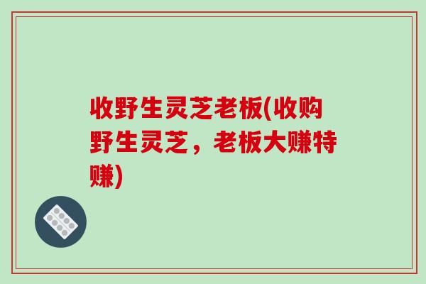 收野生灵芝老板(收购野生灵芝,老板大赚特赚)-第1张图片-破壁灵芝孢子粉研究指南 收野生灵芝老板(收购野生灵芝,老板大赚特赚)-第1张图片-破壁灵芝孢子粉研究指南