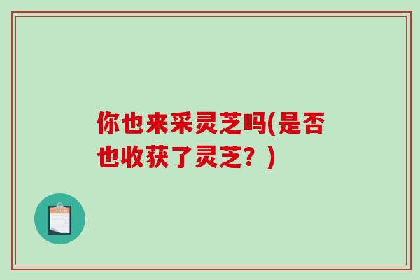 你也来采灵芝吗(是否也收获了灵芝?)-第1张图片-破壁灵芝孢子粉研究指南 你也来采灵芝吗(是否也收获了灵芝?)-第1张图片-破壁灵芝孢子粉研究指南