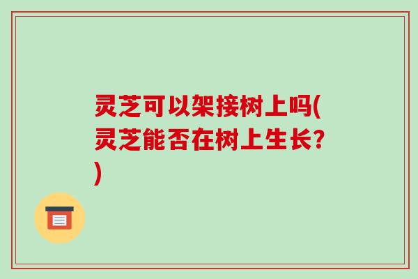 灵芝可以架接树上吗(灵芝能否在树上生长?)-第1张图片-破壁灵芝孢子粉研究指南 灵芝可以架接树上吗(灵芝能否在树上生长?)-第1张图片-破壁灵芝孢子粉研究指南