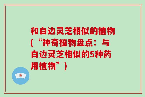 和白边灵芝相似的植物(“神奇植物盘点：与白边灵芝相似的5种药用植物”)-第1张图片-破壁灵芝孢子粉研究指南