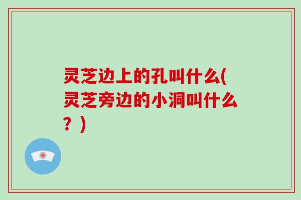 灵芝边上的孔叫什么(灵芝旁边的小洞叫什么？)-第1张图片-破壁灵芝孢子粉研究指南