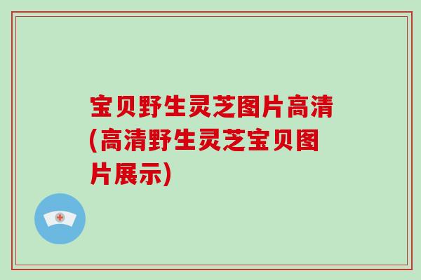 宝贝野生灵芝图片高清(高清野生灵芝宝贝图片展示)-第1张图片-破壁灵芝孢子粉研究指南 宝贝野生灵芝图片高清(高清野生灵芝宝贝图片展示)-第1张图片-破壁灵芝孢子粉研究指南