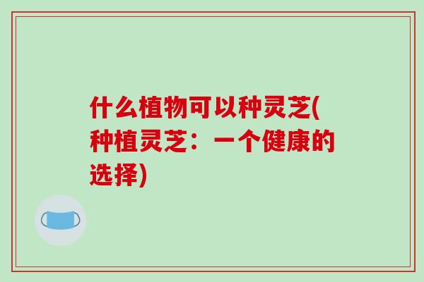 什么植物可以种灵芝(种植灵芝:一个健康的选择)-第1张图片-破壁灵芝孢子粉研究指南 什么植物可以种灵芝(种植灵芝:一个健康的选择)-第1张图片-破壁灵芝孢子粉研究指南