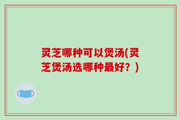 灵芝哪种可以煲汤(灵芝煲汤选哪种最好?)-第1张图片-破壁灵芝孢子粉研究指南 灵芝哪种可以煲汤(灵芝煲汤选哪种最好?)-第1张图片-破壁灵芝孢子粉研究指南
