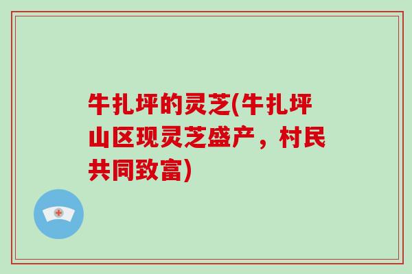 牛扎坪的灵芝(牛扎坪山区现灵芝盛产，村民共同致富)-第1张图片-破壁灵芝孢子粉研究指南