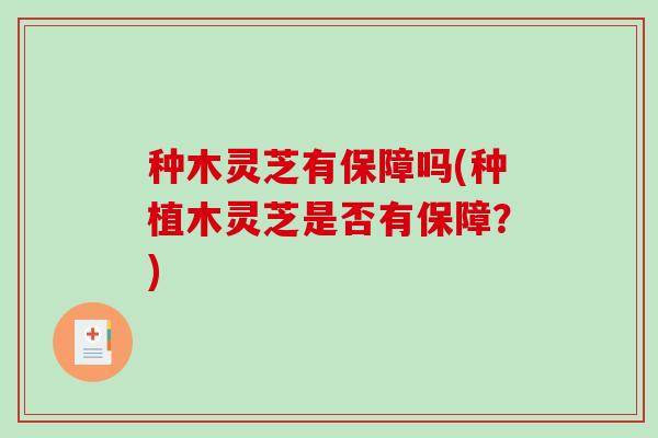 种木灵芝有保障吗(种植木灵芝是否有保障?)-第1张图片-破壁灵芝孢子粉研究指南 种木灵芝有保障吗(种植木灵芝是否有保障?)-第1张图片-破壁灵芝孢子粉研究指南
