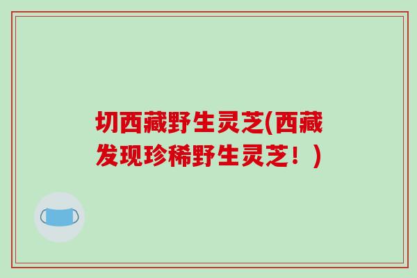 切西藏野生灵芝(西藏发现珍稀野生灵芝!)-第1张图片-破壁灵芝孢子粉研究指南 切西藏野生灵芝(西藏发现珍稀野生灵芝!)-第1张图片-破壁灵芝孢子粉研究指南