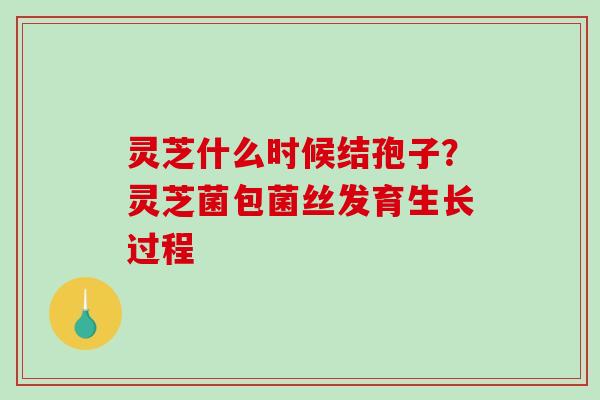 灵芝什么时候结孢子?灵芝菌包菌丝发育生长过程-第1张图片-破壁灵芝孢子粉研究指南 灵芝什么时候结孢子?灵芝菌包菌丝发育生长过程-第1张图片-破壁灵芝孢子粉研究指南