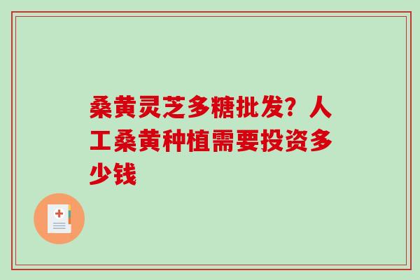 桑黄灵芝多糖批发?人工桑黄种植需要投资多少钱-第1张图片-破壁灵芝孢子粉研究指南 桑黄灵芝多糖批发?人工桑黄种植需要投资多少钱-第1张图片-破壁灵芝孢子粉研究指南