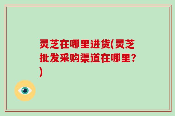灵芝在哪里进货(灵芝批发采购渠道在哪里?)-第1张图片-破壁灵芝孢子粉研究指南 灵芝在哪里进货(灵芝批发采购渠道在哪里?)-第1张图片-破壁灵芝孢子粉研究指南