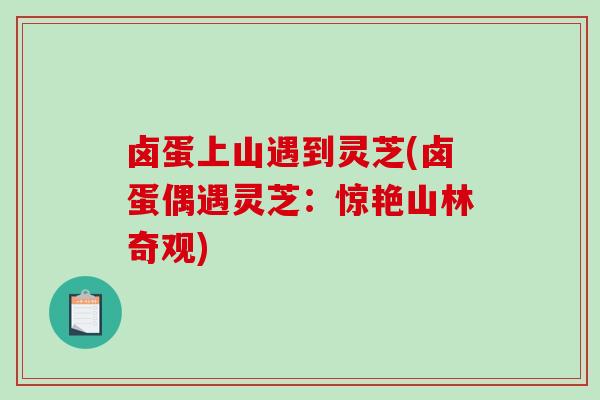 卤蛋上山遇到灵芝(卤蛋偶遇灵芝：惊艳山林奇观)-第1张图片-破壁灵芝孢子粉研究指南