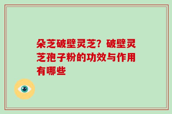 朵芝破壁灵芝?破壁灵芝孢子粉的功效与作用有哪些-第1张图片-破壁灵芝孢子粉研究指南 朵芝破壁灵芝?破壁灵芝孢子粉的功效与作用有哪些-第1张图片-破壁灵芝孢子粉研究指南