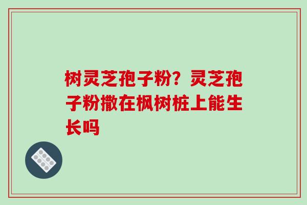 树灵芝孢子粉？灵芝孢子粉撒在枫树桩上能生长吗-第1张图片-破壁灵芝孢子粉研究指南