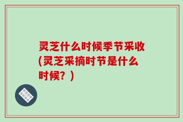灵芝什么时候季节采收(灵芝采摘时节是什么时候?)-第1张图片-破壁灵芝孢子粉研究指南 灵芝什么时候季节采收(灵芝采摘时节是什么时候?)-第1张图片-破壁灵芝孢子粉研究指南