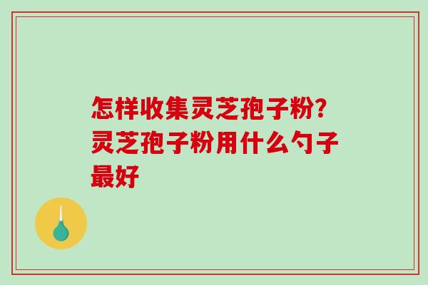 怎样收集灵芝孢子粉？灵芝孢子粉用什么勺子最好-第1张图片-破壁灵芝孢子粉研究指南
