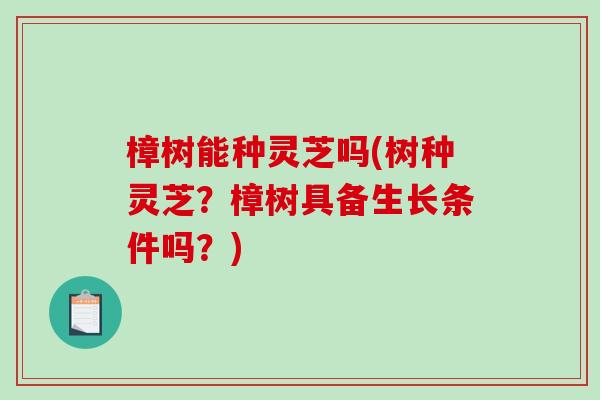 樟树能种灵芝吗(树种灵芝?樟树具备生长条件吗?)-第1张图片-破壁灵芝孢子粉研究指南 樟树能种灵芝吗(树种灵芝?樟树具备生长条件吗?)-第1张图片-破壁灵芝孢子粉研究指南