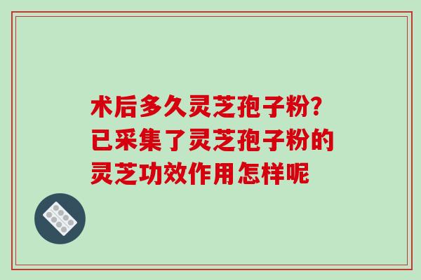 术后多久灵芝孢子粉?已采集了灵芝孢子粉的灵芝功效作用怎样呢-第1张图片-破壁灵芝孢子粉研究指南 术后多久灵芝孢子粉?已采集了灵芝孢子粉的灵芝功效作用怎样呢-第1张图片-破壁灵芝孢子粉研究指南