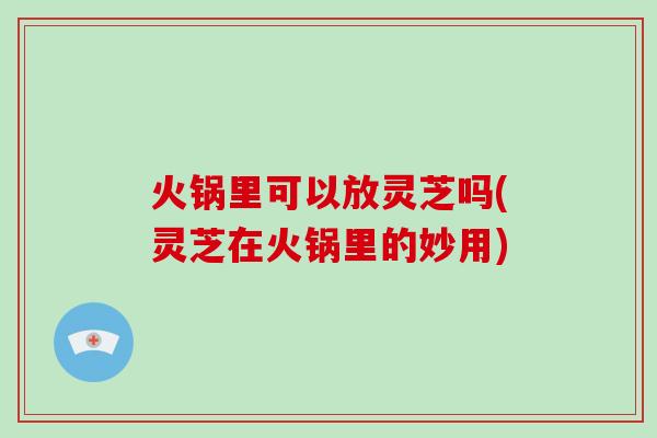 火锅里可以放灵芝吗(灵芝在火锅里的妙用)-第1张图片-破壁灵芝孢子粉研究指南