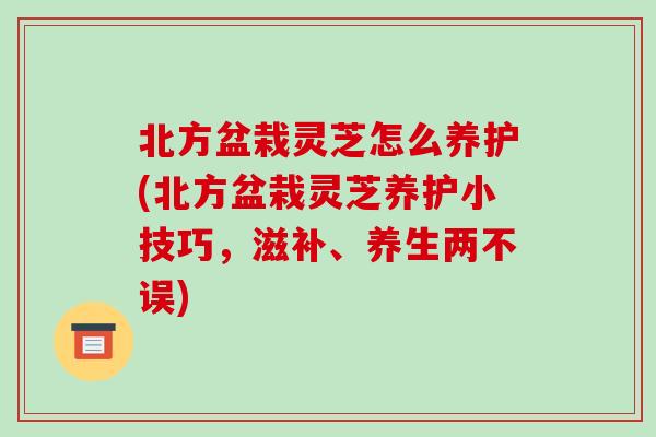 北方盆栽灵芝怎么养护(北方盆栽灵芝养护小技巧,滋补、养生两不误)-第1张图片-破壁灵芝孢子粉研究指南 北方盆栽灵芝怎么养护(北方盆栽灵芝养护小技巧,滋补、养生两不误)-第1张图片-破壁灵芝孢子粉研究指南