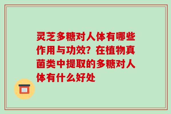灵芝多糖对人体有哪些作用与功效？在植物真菌类中提取的多糖对人体有什么好处-第1张图片-破壁灵芝孢子粉研究指南