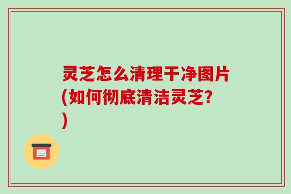 灵芝怎么清理干净图片(如何彻底清洁灵芝?)-第1张图片-破壁灵芝孢子粉研究指南 灵芝怎么清理干净图片(如何彻底清洁灵芝?)-第1张图片-破壁灵芝孢子粉研究指南
