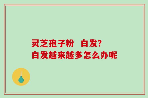 灵芝孢子粉 白发?白发越来越多怎么办呢-第1张图片-破壁灵芝孢子粉研究指南 灵芝孢子粉 白发?白发越来越多怎么办呢-第1张图片-破壁灵芝孢子粉研究指南